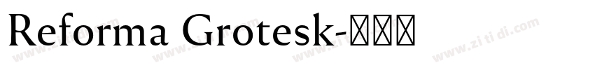 Reforma Grotesk字体转换